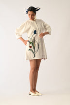 Botanica Ivory Bubble Aline Appliqué Dress