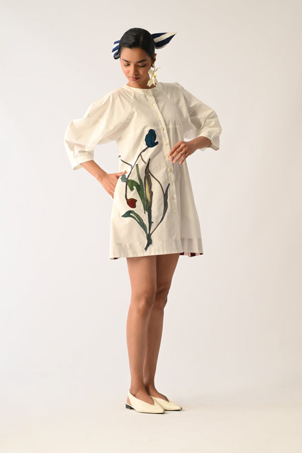 Botanica IVORY Bubble Aline Appliqué Dress